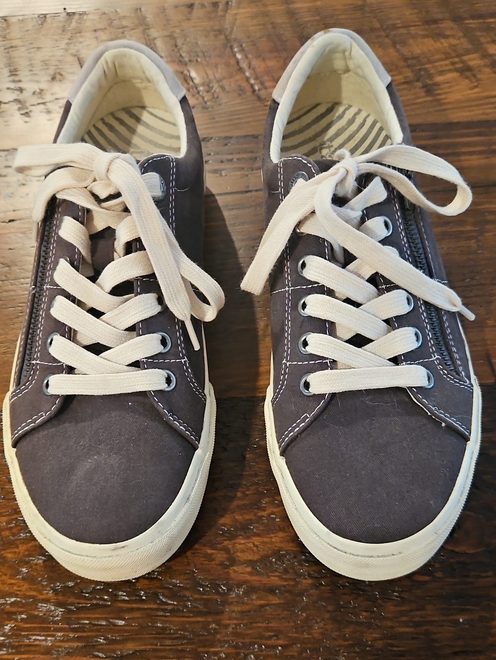 Taos Casual Canvas Sneakers in Dark Gray  with Whits Laces and Zip Up Sides.